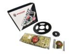 Kit Arrastre V Strom 160 Dorado Npc